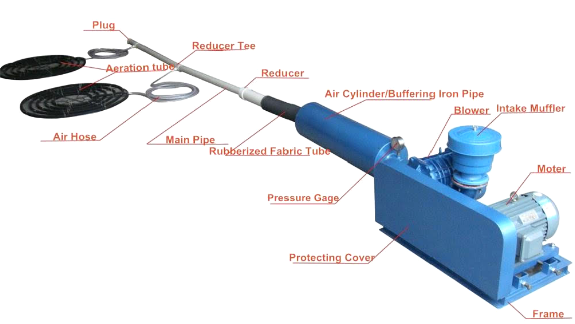 Coarse bubble aeration system